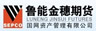 鲁能金穗期货