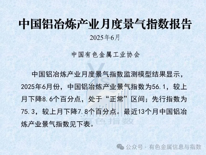中国铝冶炼产业月度景气指数报告（2025年6月）